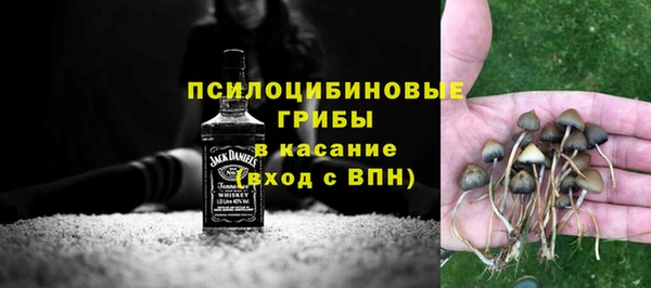 apvp Алексеевка
